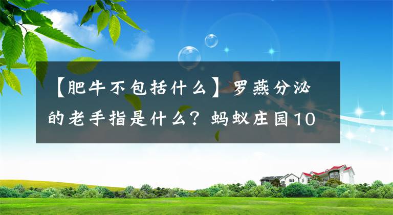 【肥牛不包括什么】罗燕分泌的老手指是什么？蚂蚁庄园10月19日答复小鸡宝宝测试每日答复摘要文章配图