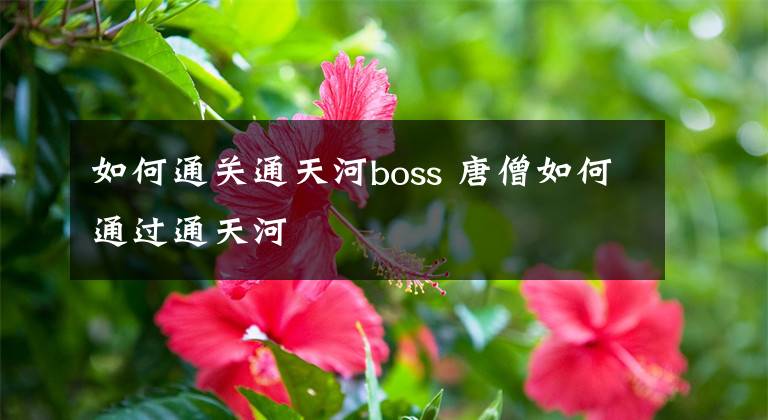 如何通关通天河boss 唐僧如何通过通天河