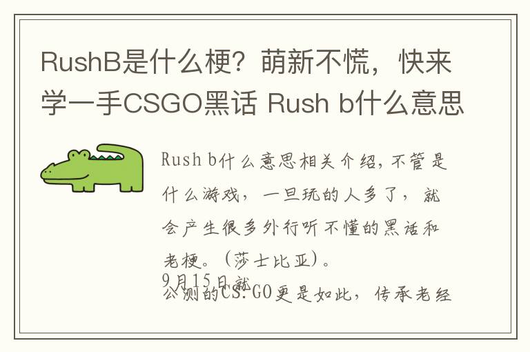 RushB是什么梗？萌新不慌，快来学一手CSGO黑话 Rush b什么意思新手攻略心得文章配图