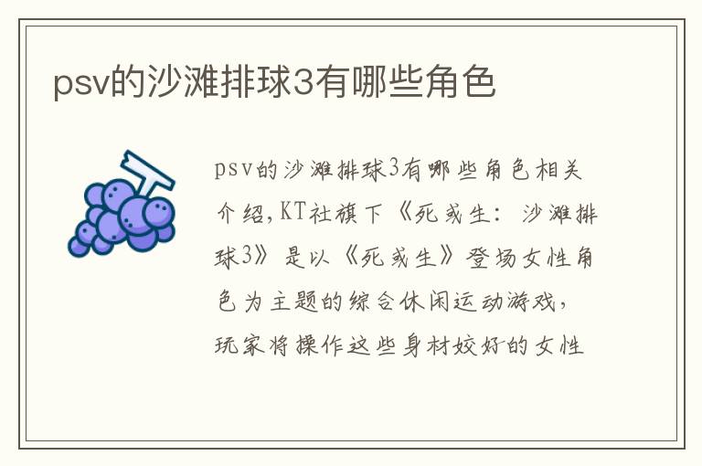 psv的沙滩排球3有哪些角色