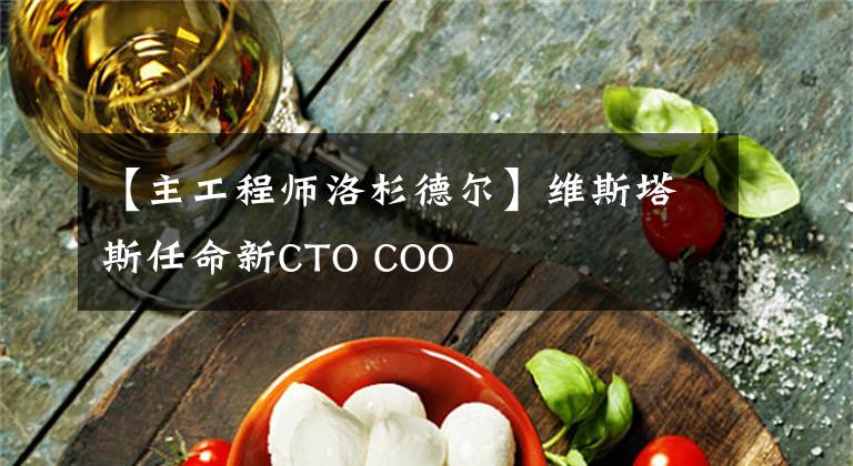 【主工程师洛杉德尔】维斯塔斯任命新CTO COO