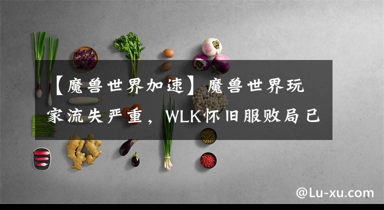 【魔兽世界加速】魔兽世界玩家流失严重，WLK怀旧服败局已定吗？给大雪泼冷水文章配图