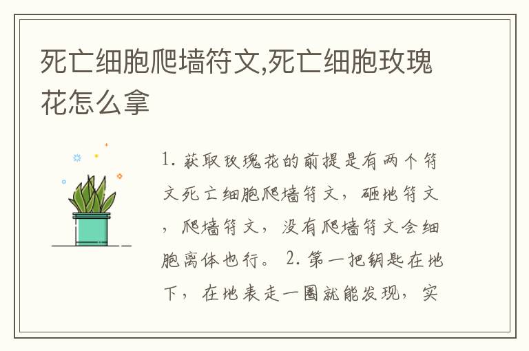 死亡细胞爬墙符文,死亡细胞玫瑰花怎么拿文章配图