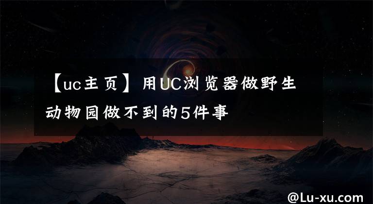 【uc主页】用UC浏览器做野生动物园做不到的5件事