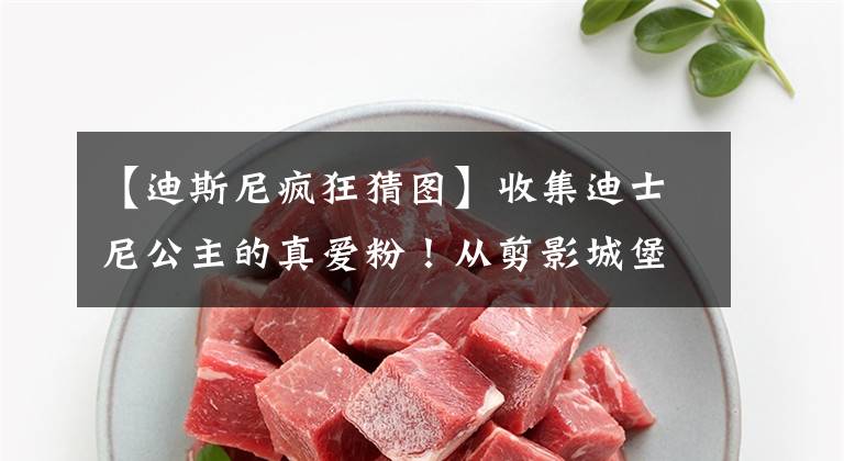 【迪斯尼疯狂猜图】收集迪士尼公主的真爱粉！从剪影城堡看，一眼就能认出哪个公主？文章配图