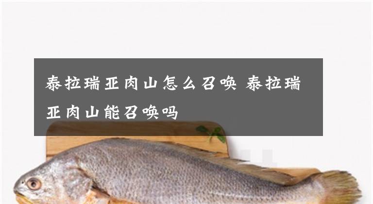 泰拉瑞亚肉山怎么召唤 泰拉瑞亚肉山能召唤吗文章配图