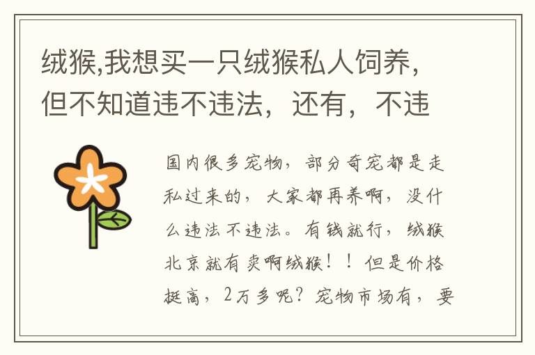 绒猴,我想买一只绒猴私人饲养，但不知道违不违法，还有，不违法的话在哪里可以买到，大约多少钱文章配图