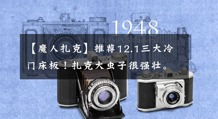 【魔人扎克】推荐12.1三大冷门床板！扎克大虫子很强壮。文章配图