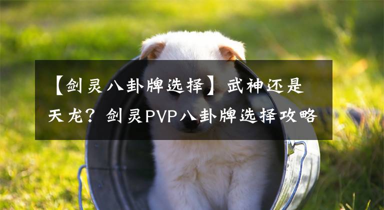 【剑灵八卦牌选择】武神还是天龙？剑灵PVP八卦牌选择攻略