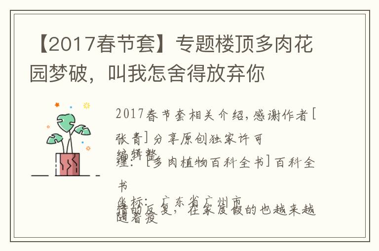 【2017春节套】专题楼顶多肉花园梦破，叫我怎舍得放弃你文章配图