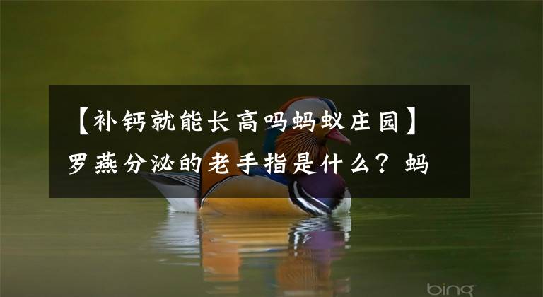 【补钙就能长高吗蚂蚁庄园】罗燕分泌的老手指是什么？蚂蚁庄园10月19日答复小鸡宝宝测试每日答复摘要文章配图