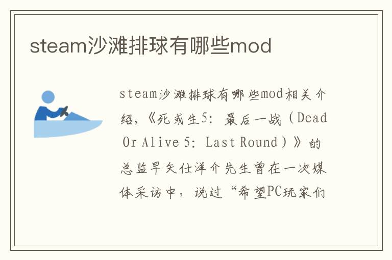 steam沙滩排球有哪些mod