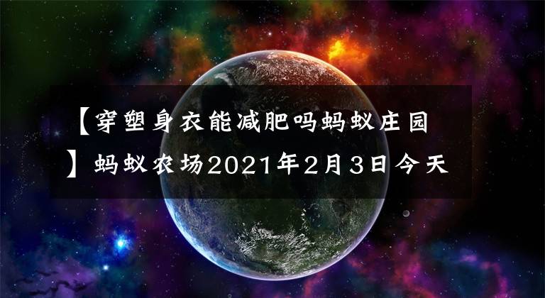 【穿塑身衣能减肥吗蚂蚁庄园】蚂蚁农场2021年2月3日今天回答的最新答案水果热量越高，水果热量越高吗？支付宝蚂蚁庄园响应综述