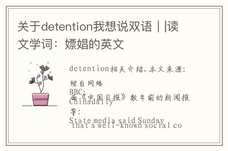 关于detention我想说双语｜|读文学词：嫖娼的英文