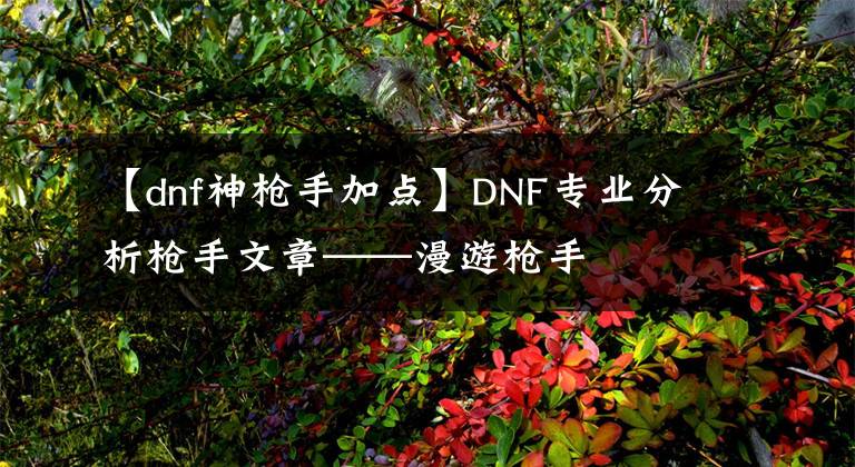 【dnf神枪手加点】DNF专业分析枪手文章——漫游枪手文章配图