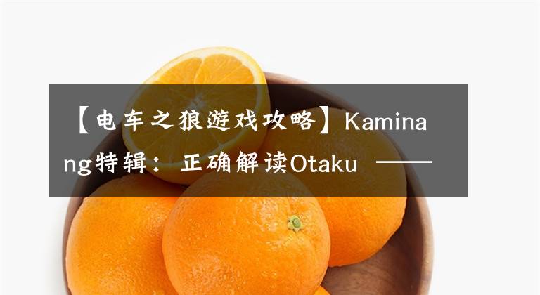 【电车之狼游戏攻略】Kaminang特辑：正确解读Otaku  —— Otaku不是死宅！文章配图