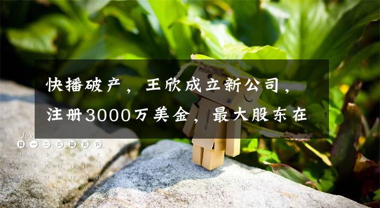 快播破产，王欣成立新公司，注册3000万美金，最大股东在香港