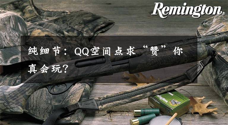 纯细节：QQ空间点求“赞”你真会玩？文章配图