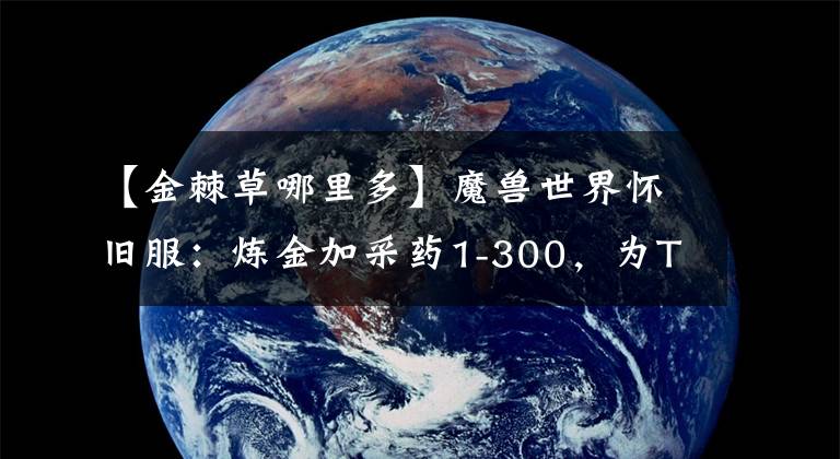 【金棘草哪里多】魔兽世界怀旧服：炼金加采药1-300，为TBC搓药做好准备文章配图