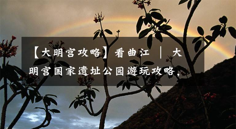 【大明宫攻略】看曲江 ｜ 大明宫国家遗址公园游玩攻略，看这一篇就够啦!文章配图