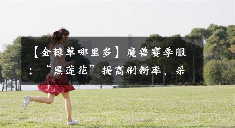 【金棘草哪里多】魔兽赛季服：“黑莲花”提高刷新率，采集可以获取元素材料文章配图