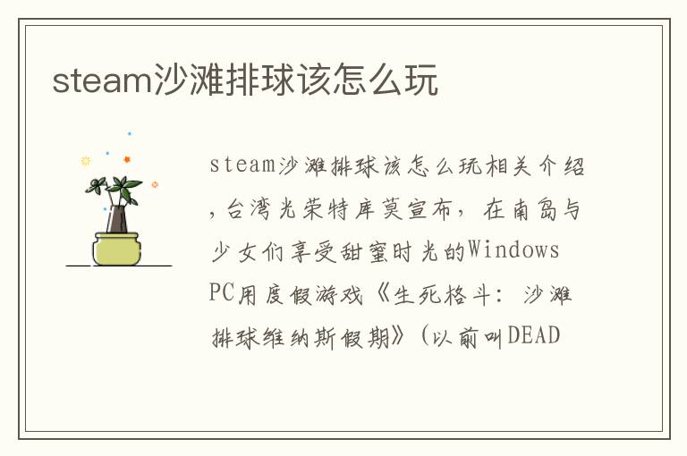 steam沙滩排球该怎么玩