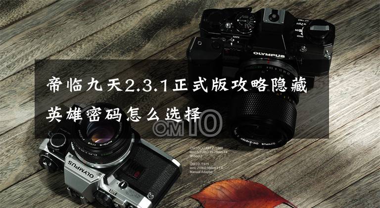 帝临九天2.3.1正式版攻略隐藏英雄密码怎么选择文章配图