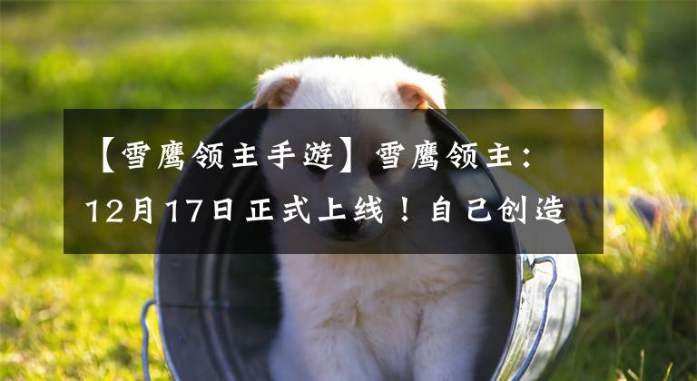 【雪鹰领主手游】雪鹰领主：12月17日正式上线！自己创造了绝学的立体战场，成为最有气魄的牛仔文章配图
