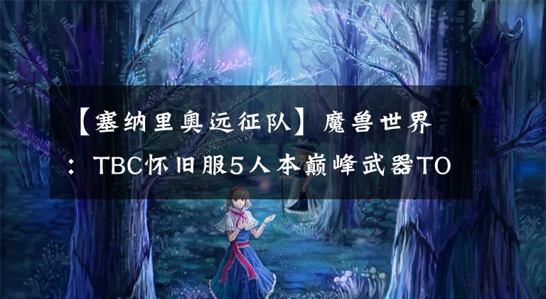 【塞纳里奥远征队】魔兽世界：TBC怀旧服5人本巅峰武器TOP10，回音锤高端治疗必备