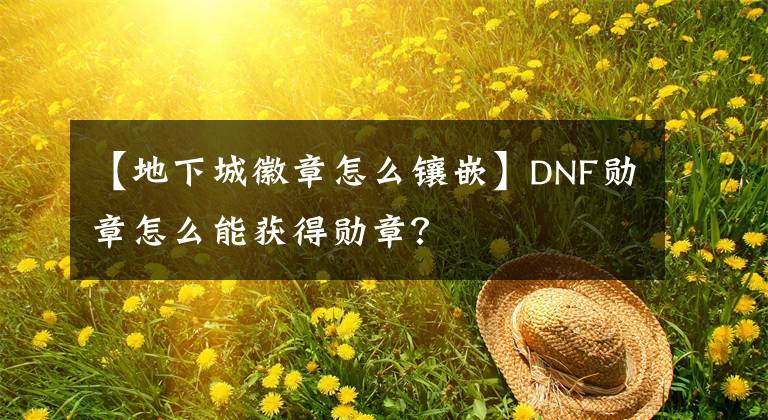 【地下城徽章怎么镶嵌】DNF勋章怎么能获得勋章？文章配图