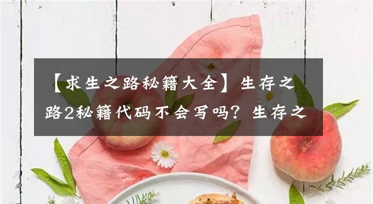 【求生之路秘籍大全】生存之路2秘籍代码不会写吗？生存之道2秘籍百科用法都告诉你。文章配图