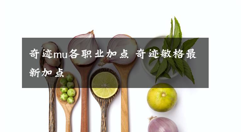 奇迹mu各职业加点 奇迹敏格最新加点