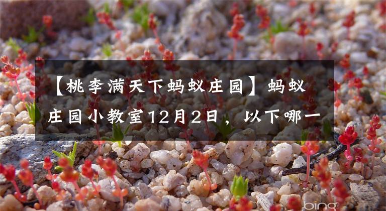 【桃李满天下蚂蚁庄园】蚂蚁庄园小教室12月2日，以下哪一个成语被千里的堤坝和蚁穴破坏，暴露出类似的安全思想？文章配图