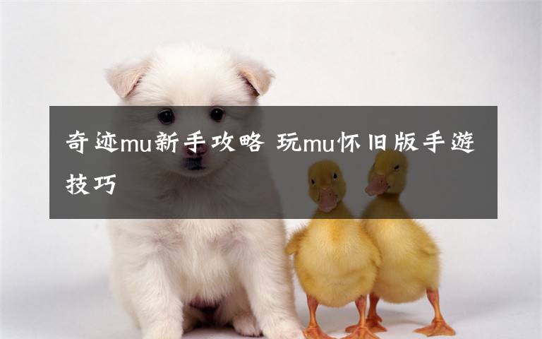 奇迹mu新手攻略 玩mu怀旧版手游技巧