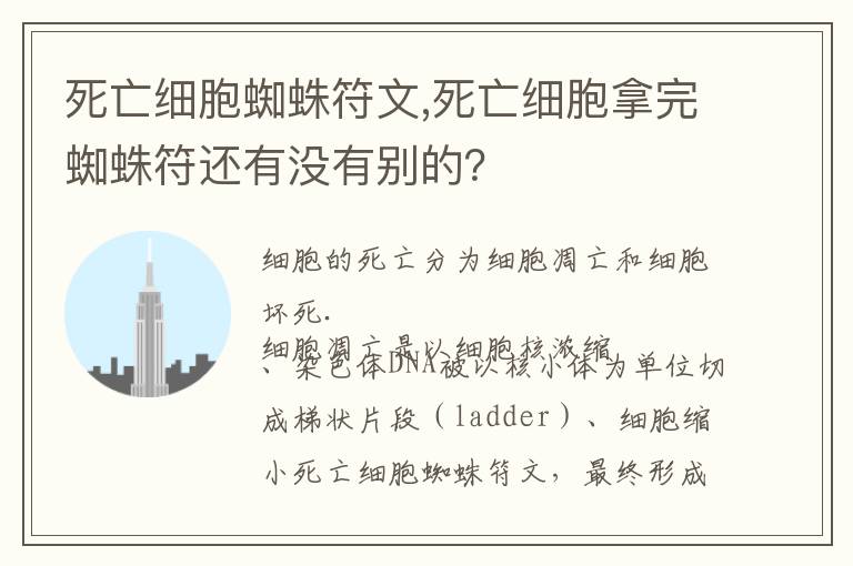 死亡细胞蜘蛛符文,死亡细胞拿完蜘蛛符还有没有别的？文章配图