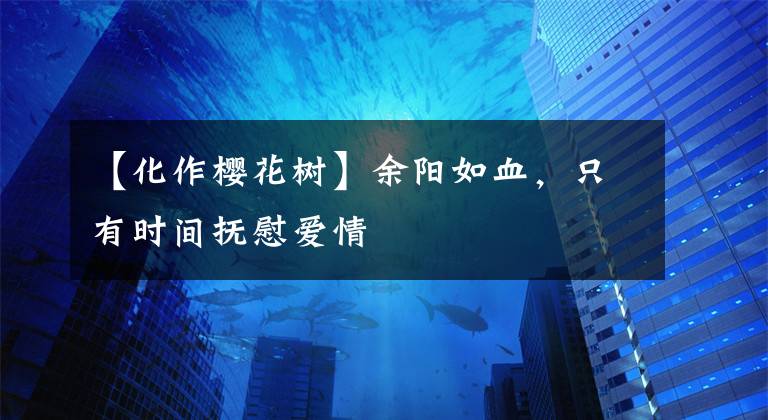 【化作樱花树】余阳如血，只有时间抚慰爱情