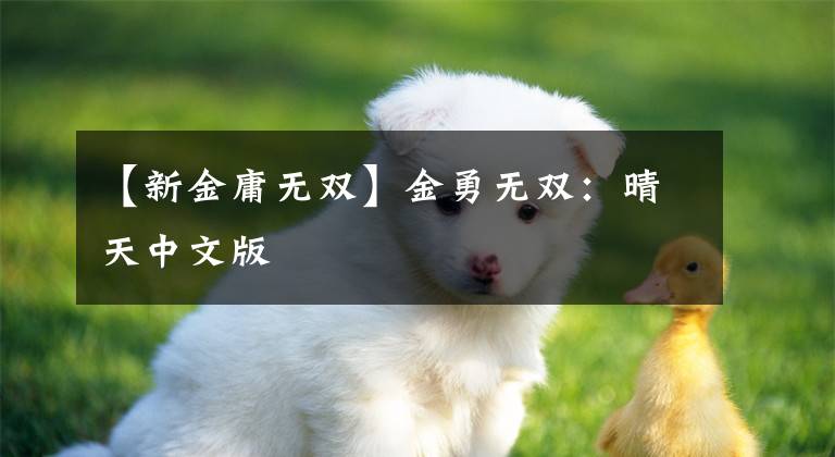 【新金庸无双】金勇无双：晴天中文版文章配图