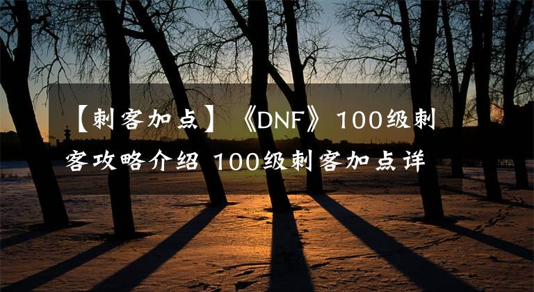 【刺客加点】《DNF》100级刺客攻略介绍 100级刺客加点详情推荐