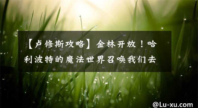 【卢修斯攻略】金林开放！哈利波特的魔法世界召唤我们去探索！文章配图