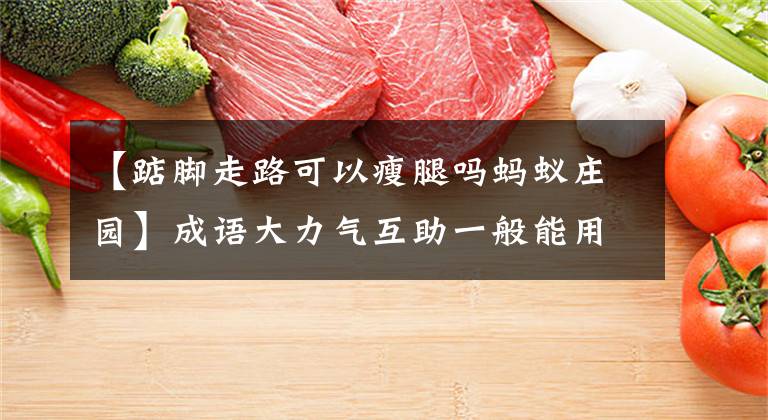 【踮脚走路可以瘦腿吗蚂蚁庄园】成语大力气互助一般能用吗？蚂蚁庄园12月9日答案最新2020小鸡宝宝考试答案摘要文章配图