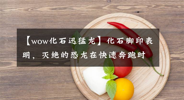 【wow化石迅猛龙】化石脚印表明，灭绝的恐龙在快速奔跑时可以和博尔特并列奔跑。