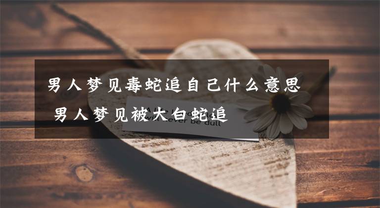 男人梦见毒蛇追自己什么意思 男人梦见被大白蛇追文章配图