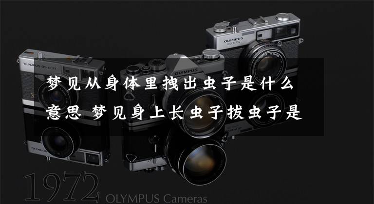 梦见从身体里拽出虫子是什么意思 梦见身上长虫子拔虫子是什么意思文章配图