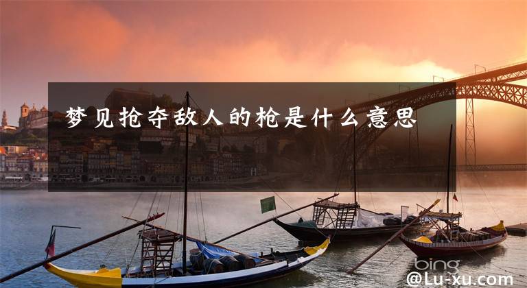 梦见抢夺敌人的枪是什么意思文章配图
