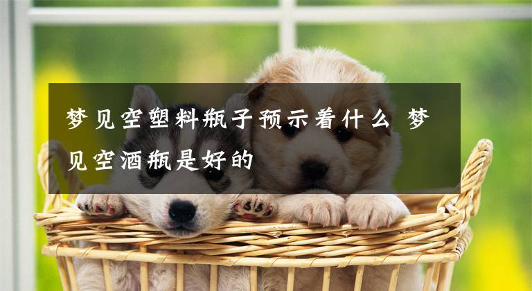 梦见空塑料瓶子预示着什么 梦见空酒瓶是好的文章配图