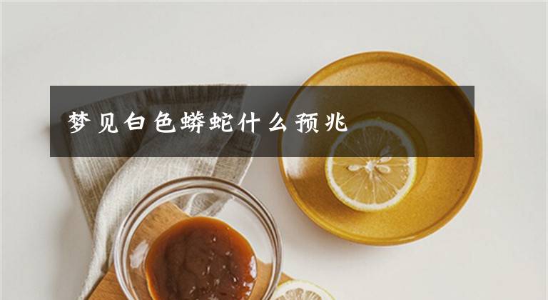 梦见白色蟒蛇什么预兆文章配图