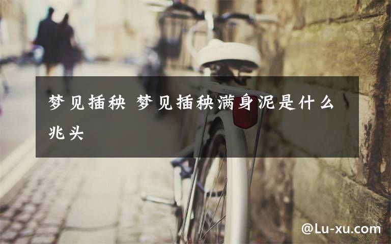 梦见插秧 梦见插秧满身泥是什么兆头文章配图