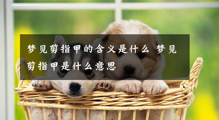 梦见剪指甲的含义是什么 梦见剪指甲是什么意思文章配图