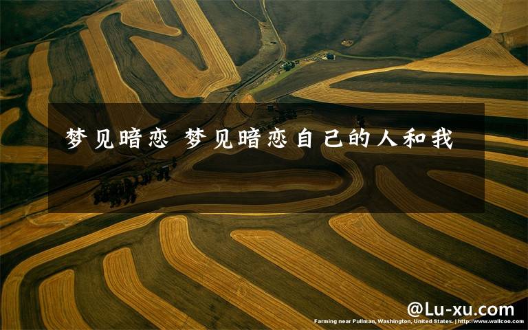 梦见暗恋 梦见暗恋自己的人和我文章配图
