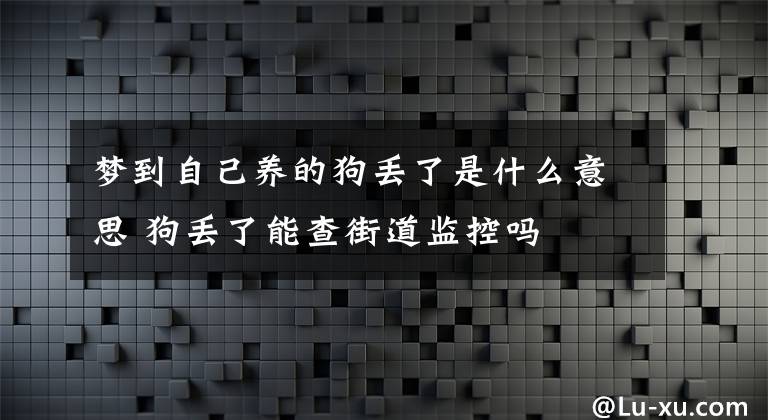 梦到自己养的狗丢了是什么意思 狗丢了能查街道监控吗